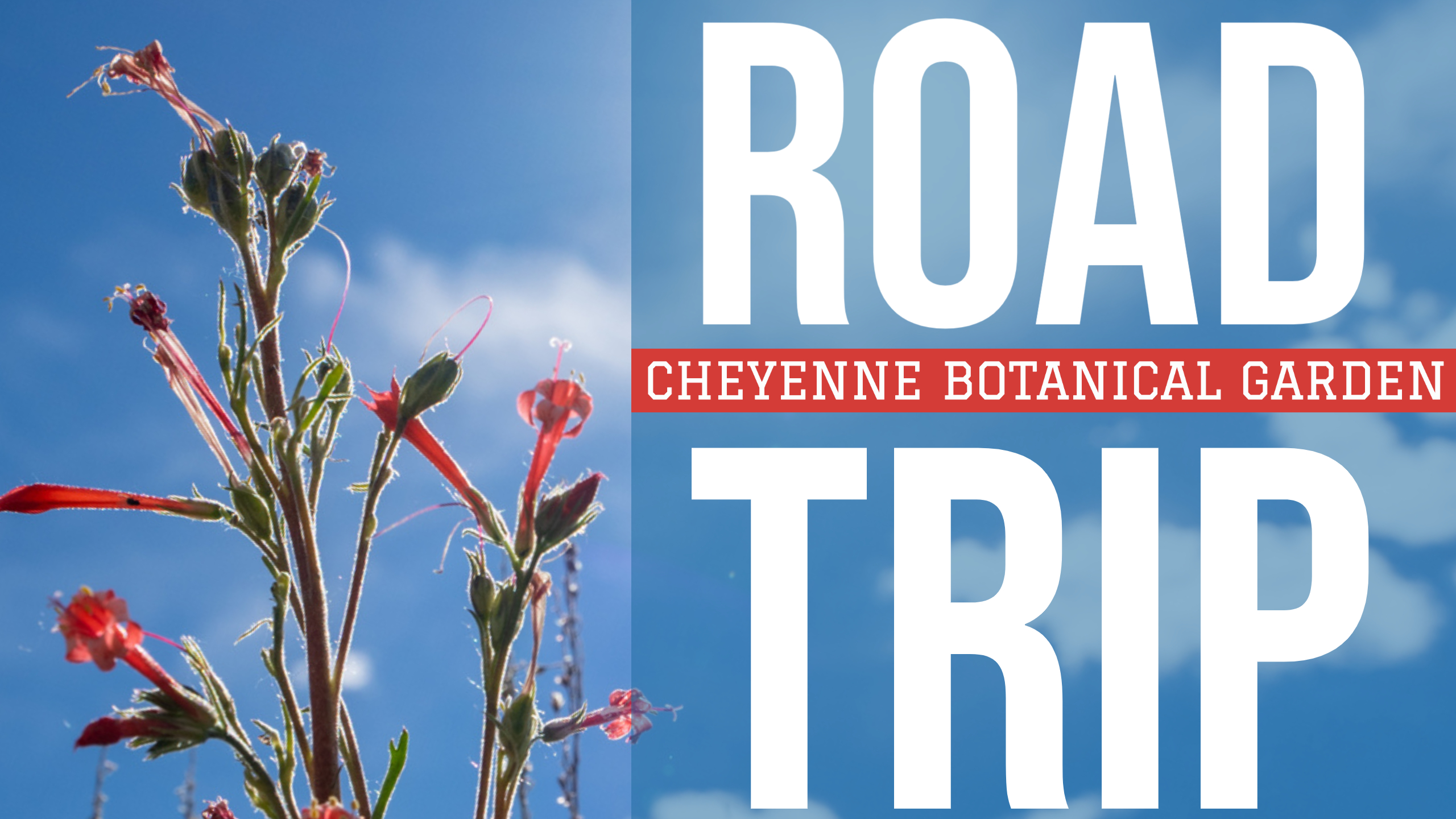 Road Trip: Cheyenne